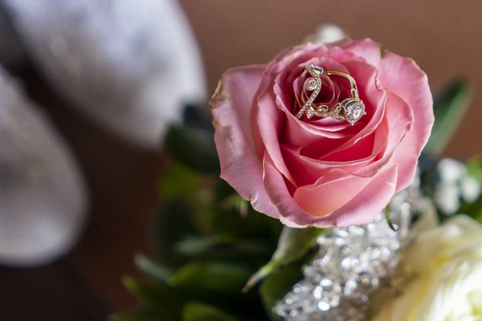 Anillos de boda