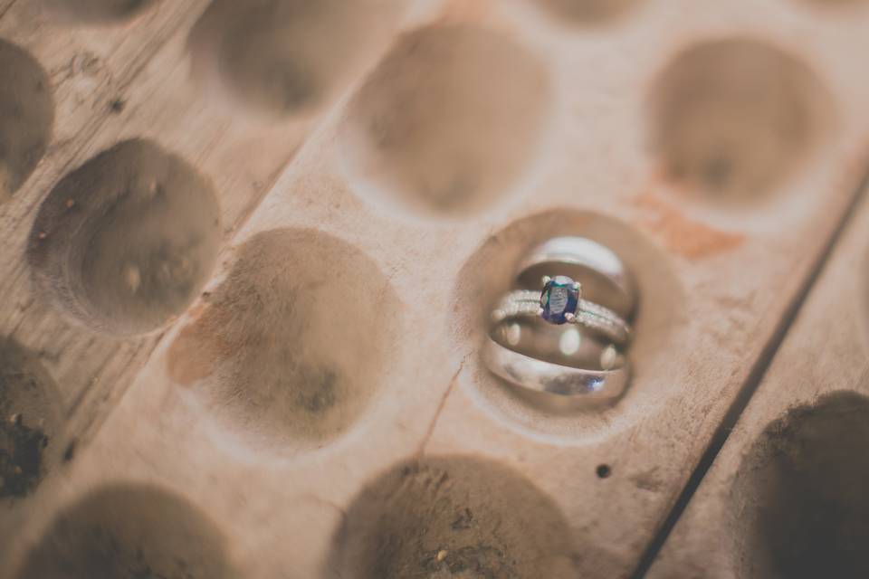 Anillos en Hacienda de Chiapa