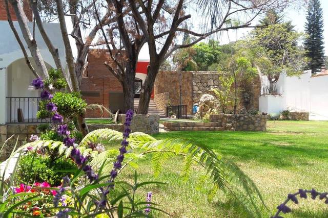 Jardín con flores