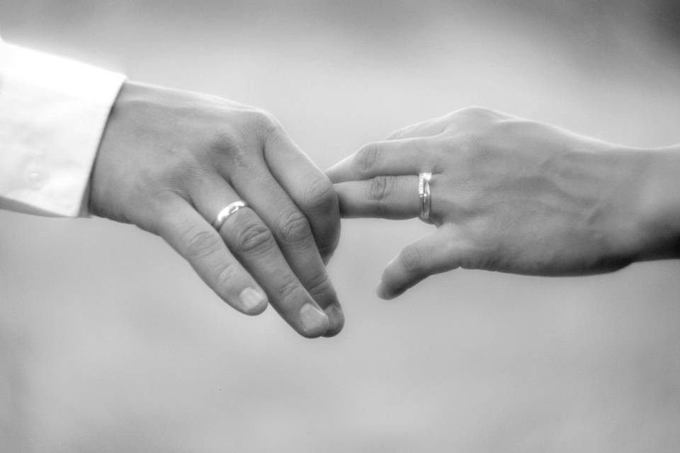 Bodas