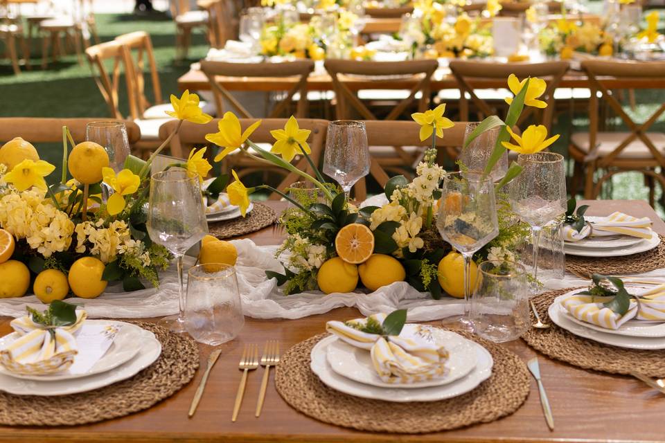Michelle Michelle EventPlanner
