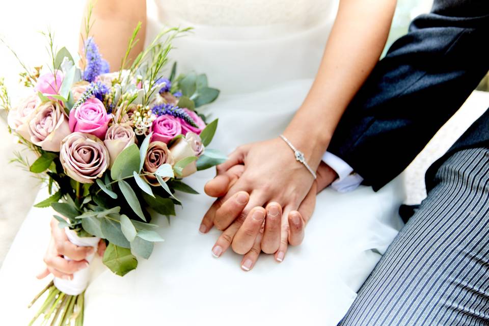 Foto por: César Meza