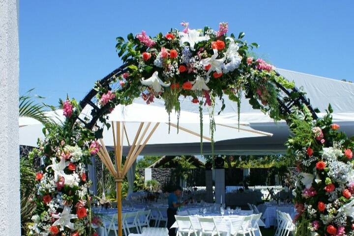 Jardines y decoración