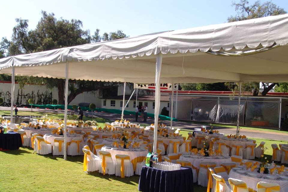 Jardín de arboledas en amarillo