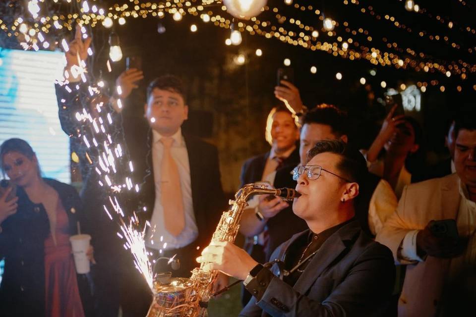 Interlude de boda en jardín.