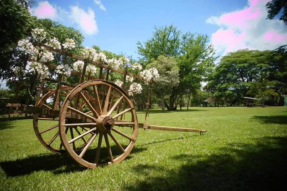 Montaje en el campo