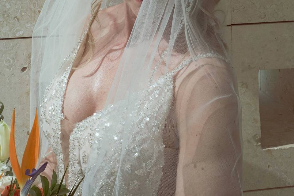 Novia