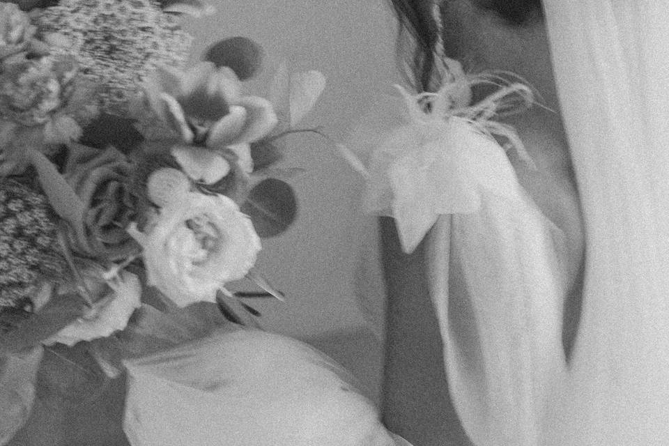 Novia