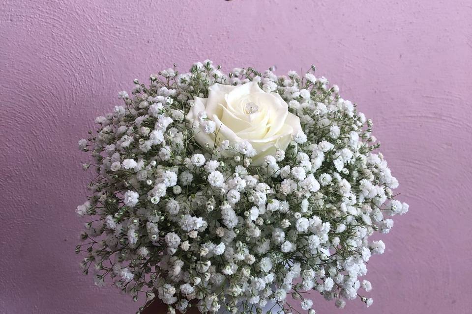 Ramo de gipsofilia