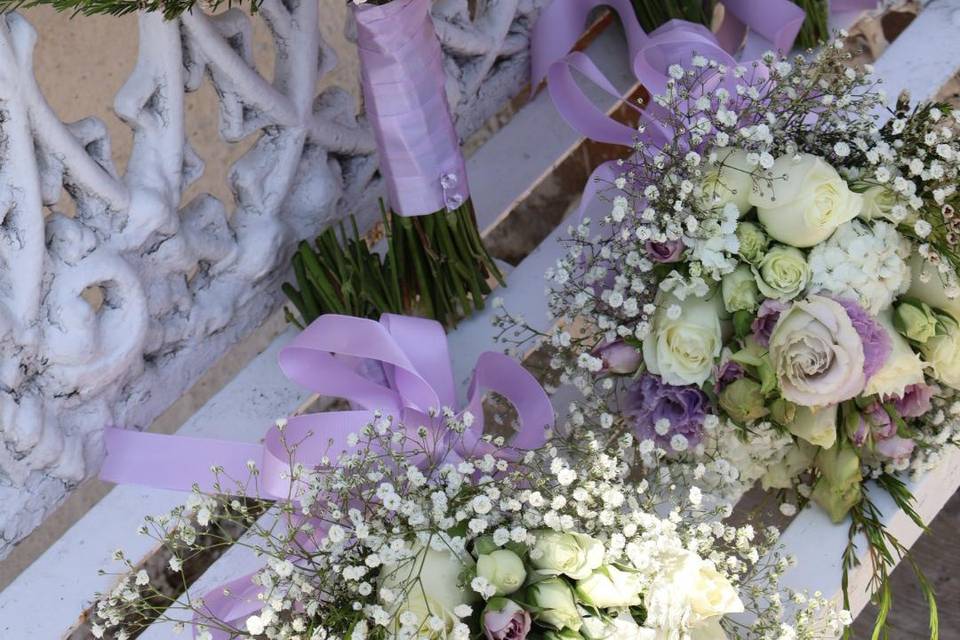 Ramos damas