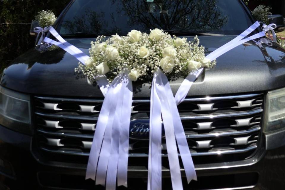 Auto novia