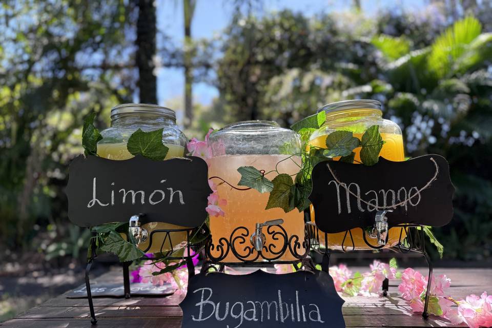 Barra Libre aguas frescas