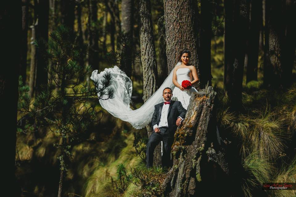 Sesión trash the dress