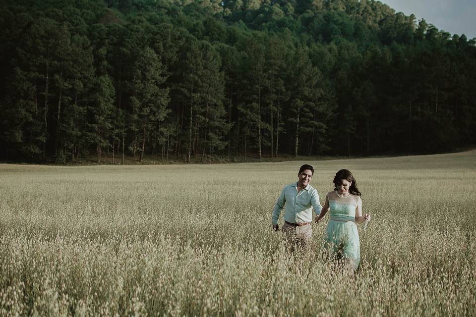 Preboda en bosque