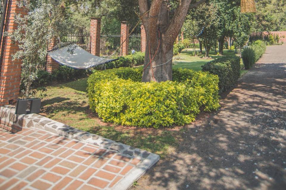 Finca Arochi