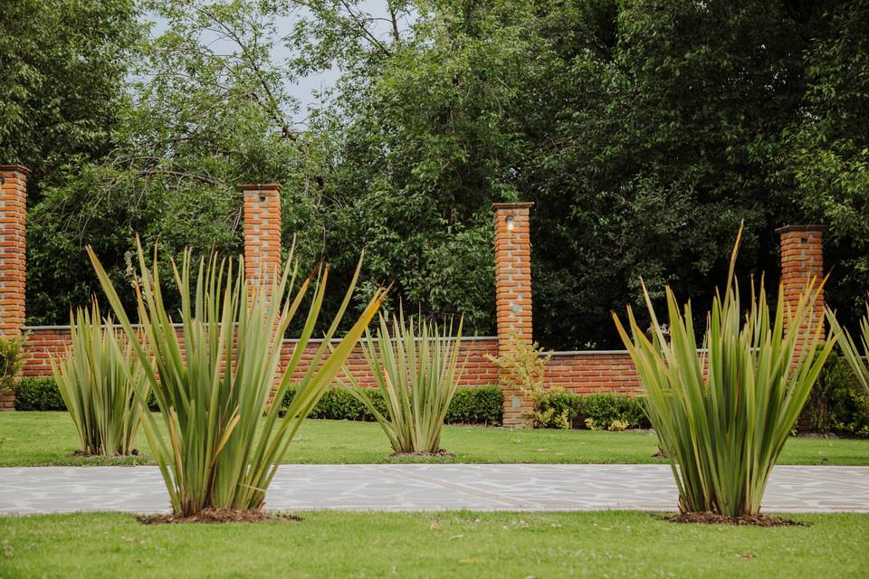 Finca Arochi