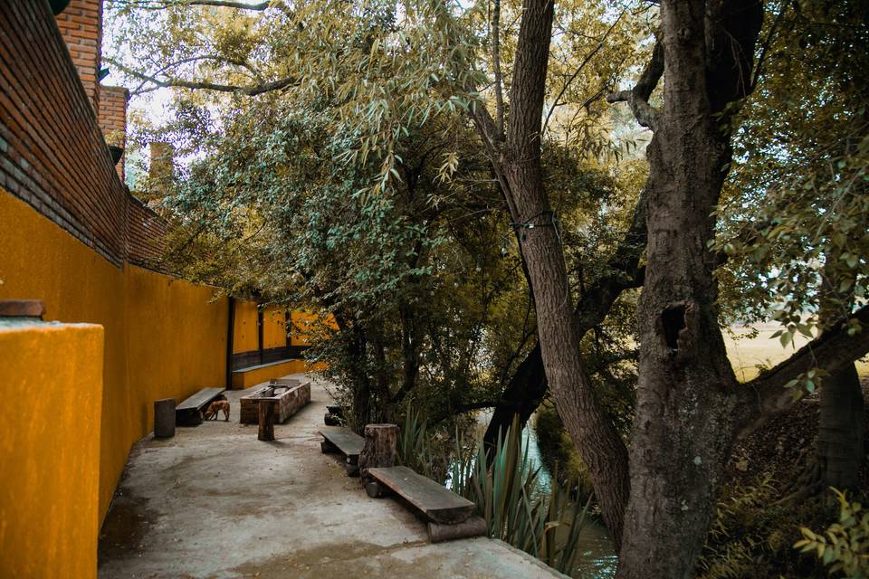 Finca Arochi