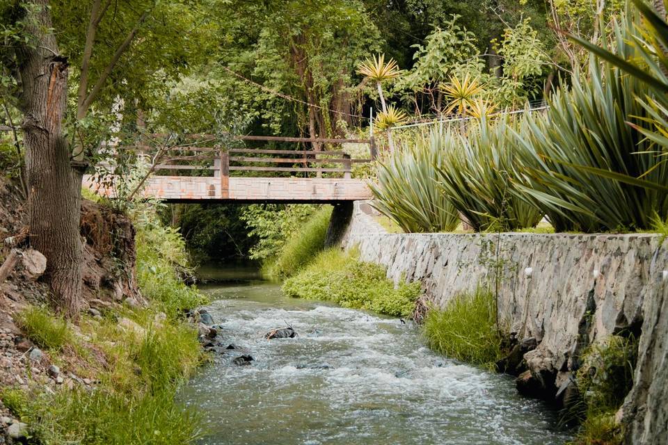 Finca Arochi