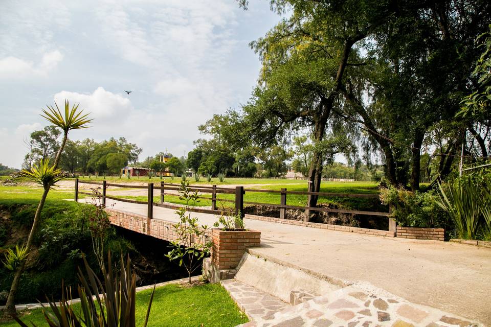 Finca Arochi