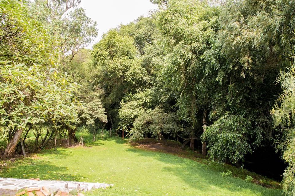 Finca Arochi