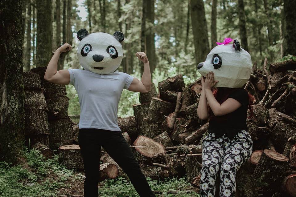 Pandas 2