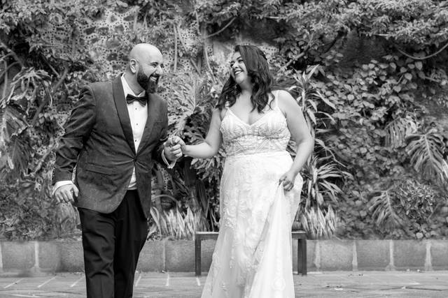 Plasmen su boda