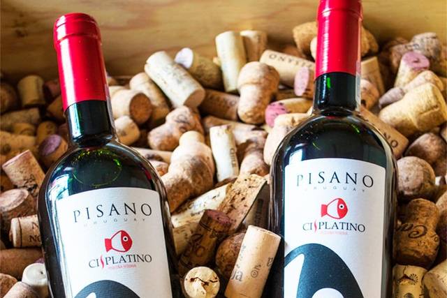 Uruguay Bodega Pisano