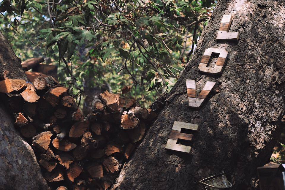 Árbol junto a cocina