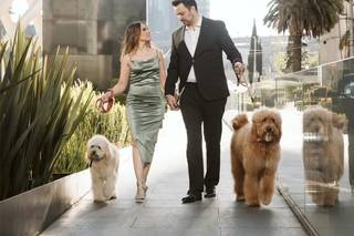 Damita Torres Weddings