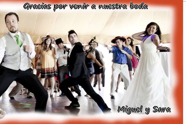 Bodas