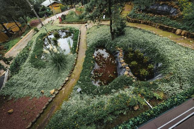 Woodscape