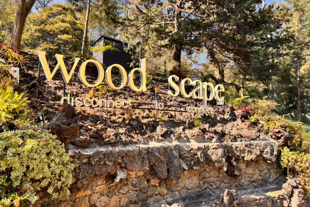 Woodscape