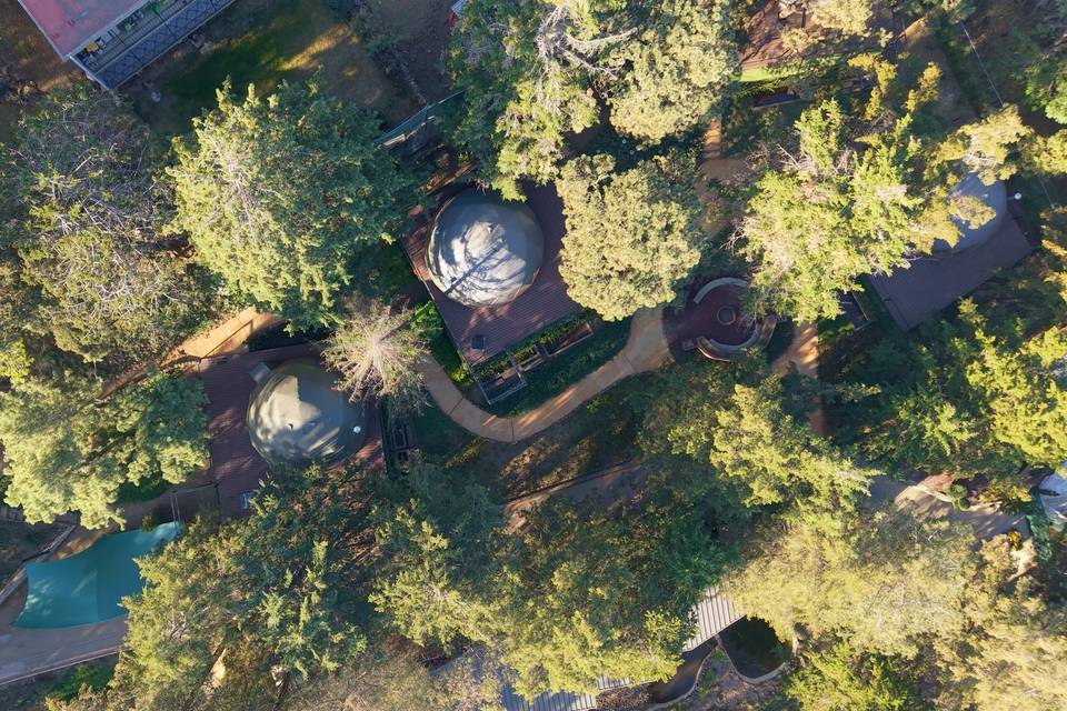 Woodscape