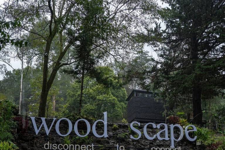 Woodscape