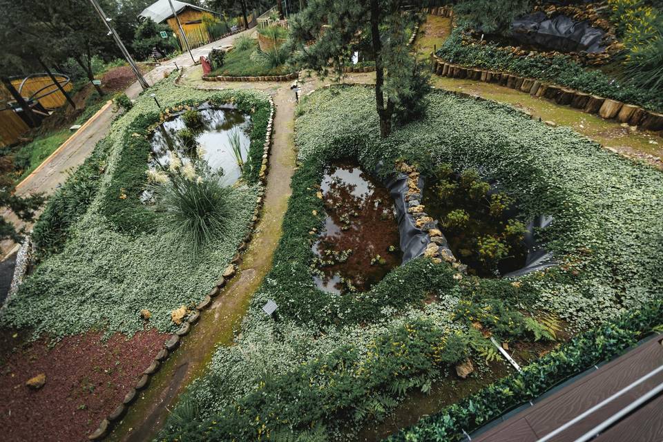 Woodscape
