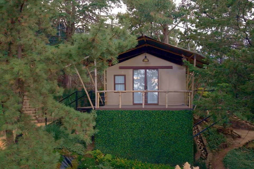 Woodscape