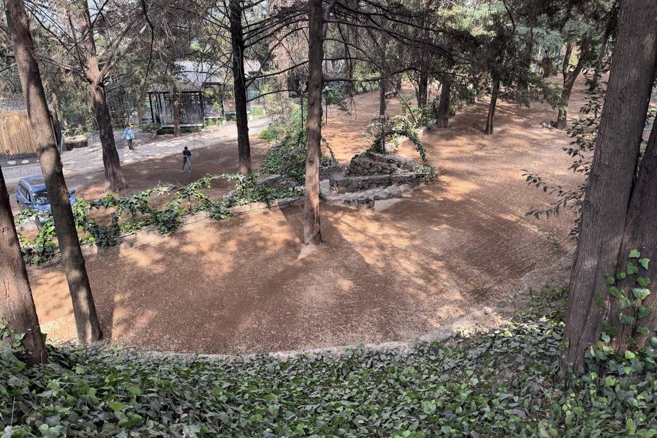 Woodscape