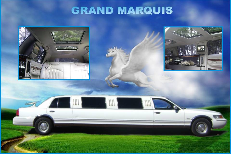 Grand marquis