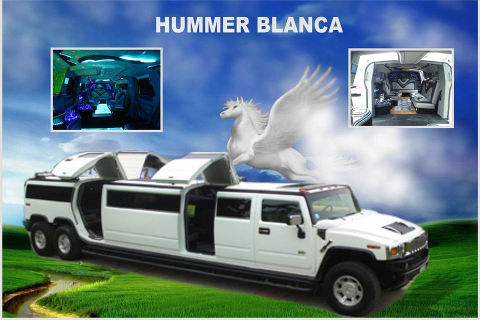 Limousines blanca