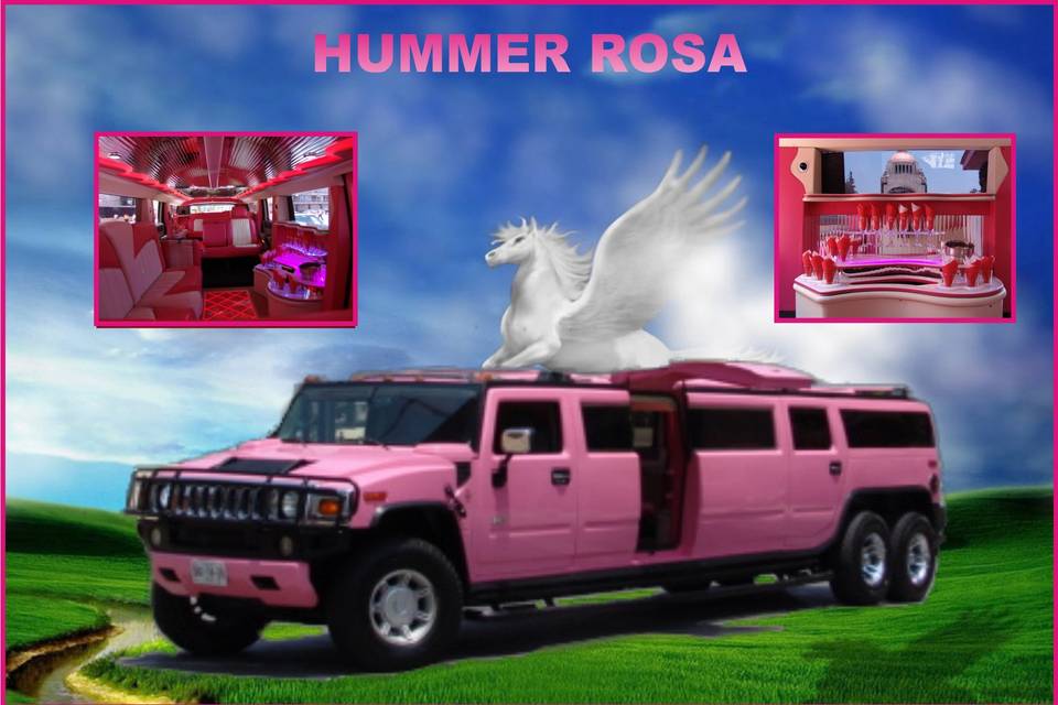 Hummer rosa