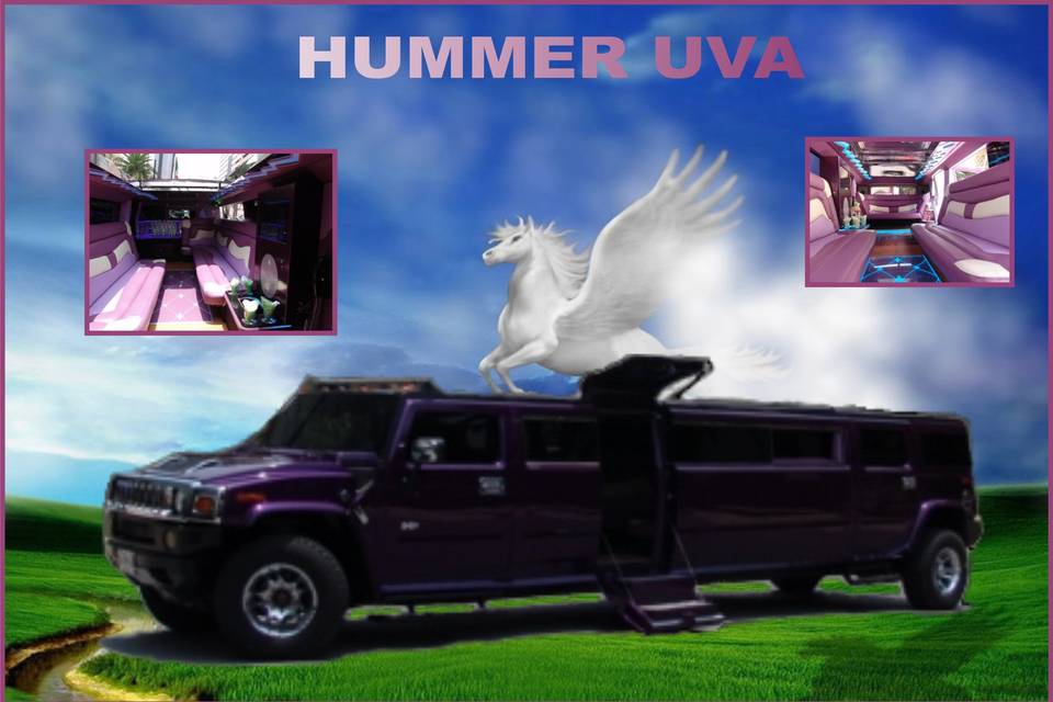 Hummer uva