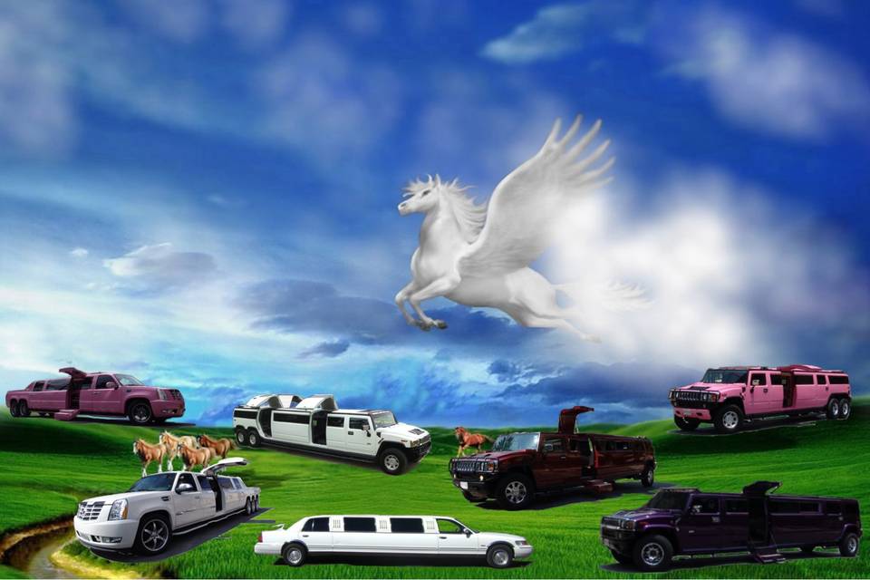 Limousines Pegasus