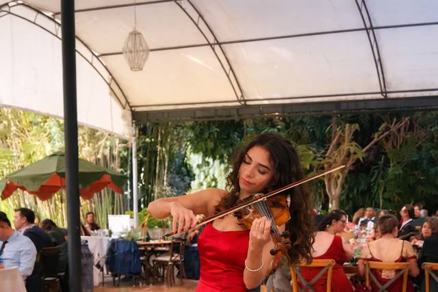 Violinista