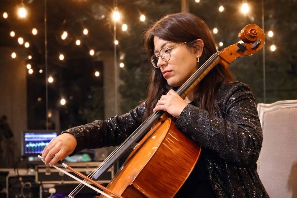 Chelista o violinista
