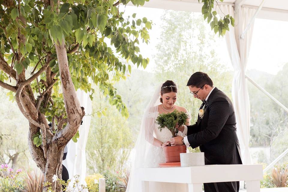 Ceremonia
