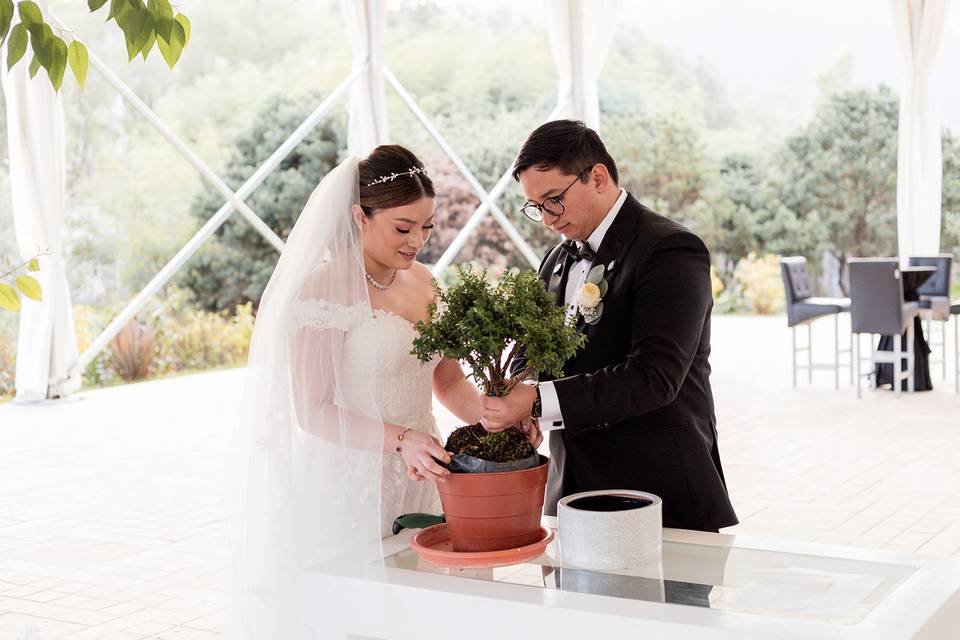 Ceremonia