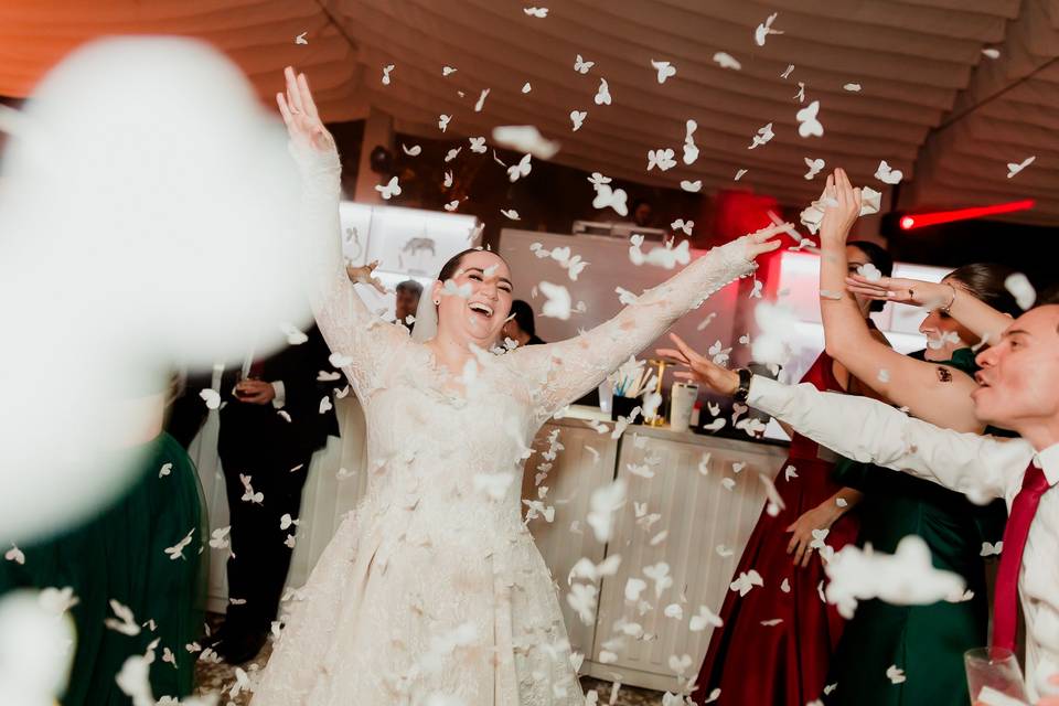 Wedding Concept