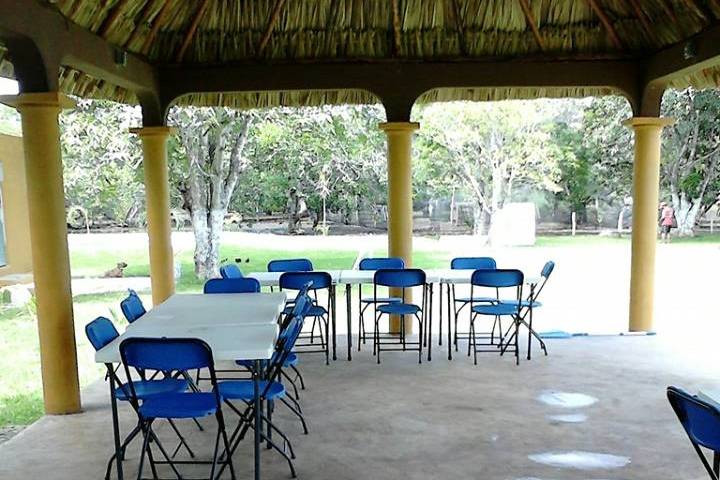 Palapa