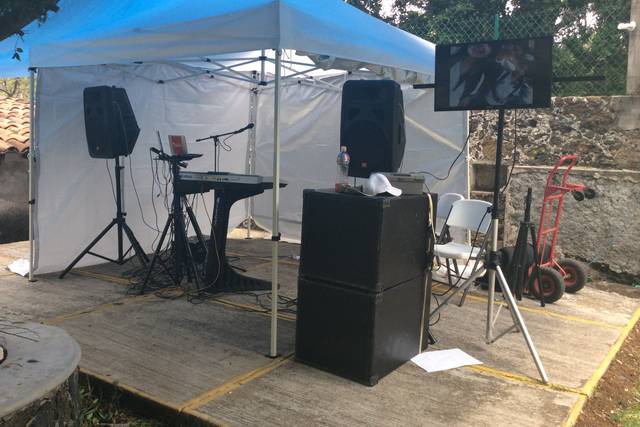 Carpa incluida