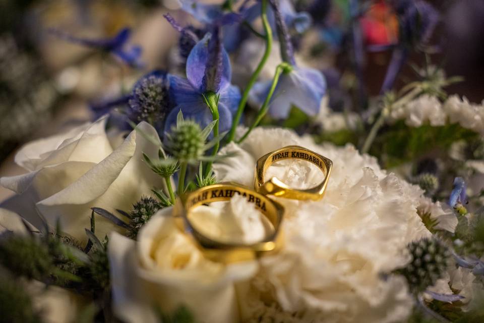 Anillos